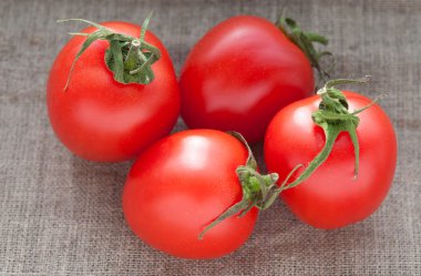 Kendir keten kumaş bez doku üzerinde birkaç domates