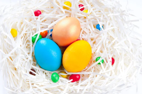 Colorful Easter eggs in nest on white background — Stock Photo, Image