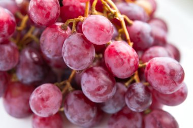 Beyaz arka plan üzerinde mor üzüm yakın çekim