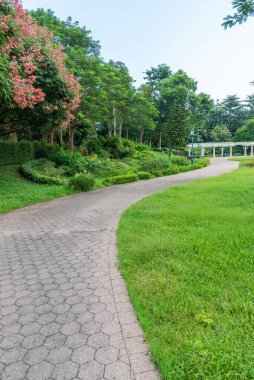 Hong Kong 'daki kamu parkında yol