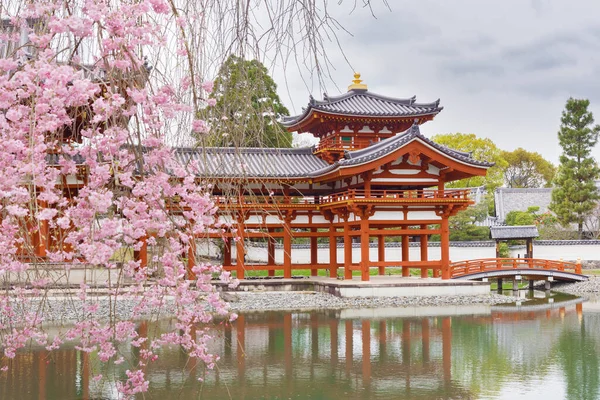 Blooming Sakura Tree Byodo Buddhist Temple Uji Kyoto Japan — Stock Photo, Image