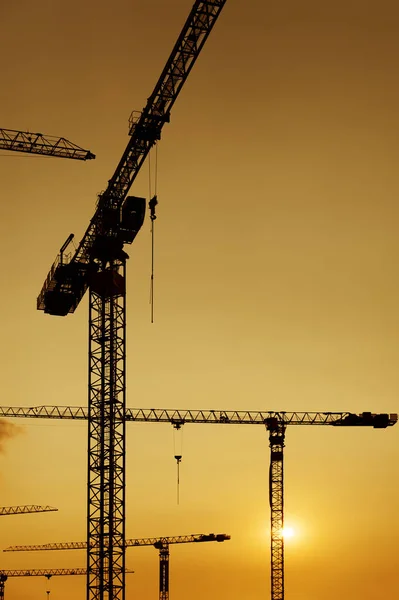 Crane in construction site under sunset