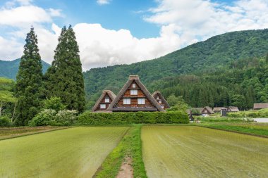 Shirakawa-go 'nun tarihi köyündeki çiftlik evi. Shirakawa-go, Japonya 'nın Gifu ilindeki UNESCO Dünya Miraslarından biridir..