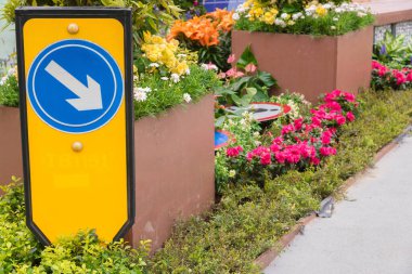 Çiçek bahçesinde ok işareti ve yol