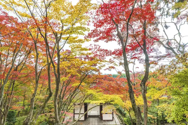 가을철에는 교토의 아라시 야마에 목가적 — 스톡 사진