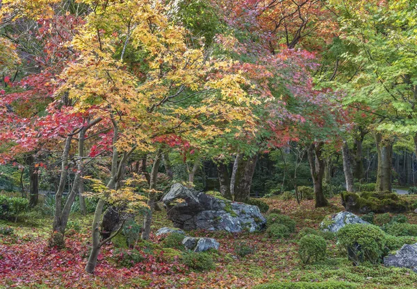 Jardin Idyllique Temple Zuiganzan Enkouji Kyoto Japon Automne — Photo