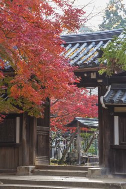 Japonya, Nara 'da sonbahar mevsiminde tarihi bina