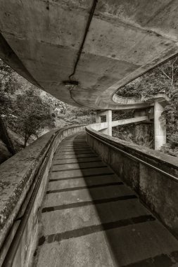 Ormanda eski bir beton kavis.