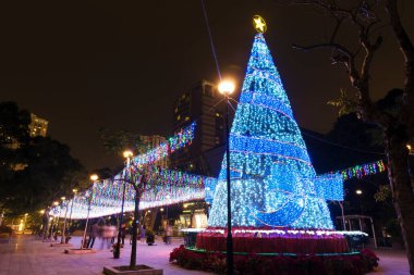 Parkta aydınlatılmış LED Noel ağacının gece manzarası