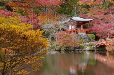 Sonbahar mevsiminde Daigoji tapınağında renkli akçaağaç ağaçları olan güzel Japon bahçesi, Kyoto, Japonya