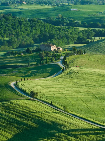 Idilli Táj Pienza Toszkána Olaszország — Stock Fotó