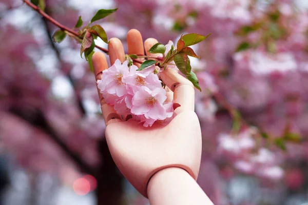 Branch Pink Sakura Wooden Artistic Hand Flowering Japanese Tree Cherry — Stock Photo, Image