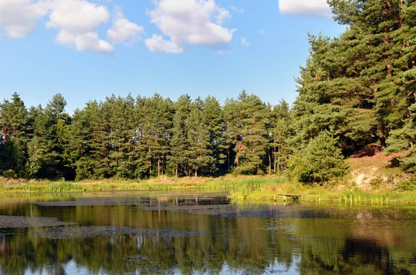 ahşap Gölü yaz aylarında