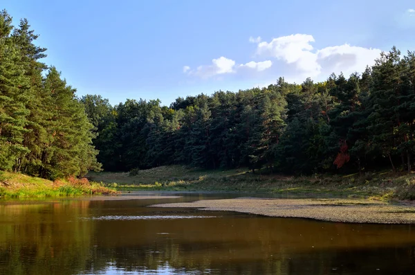 Forest and lake scenery Stock Image