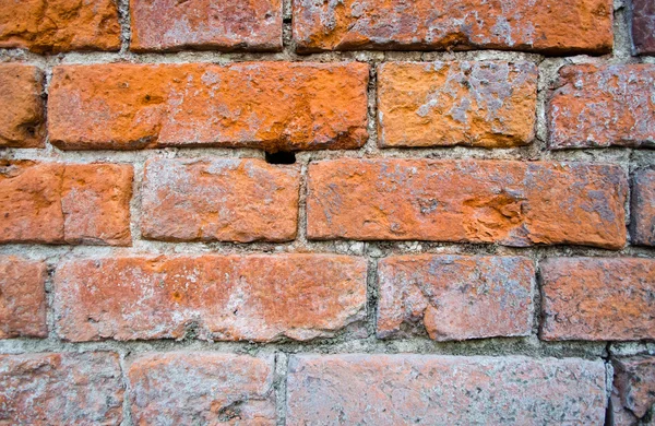 Alte Ziegelmauer — Stockfoto