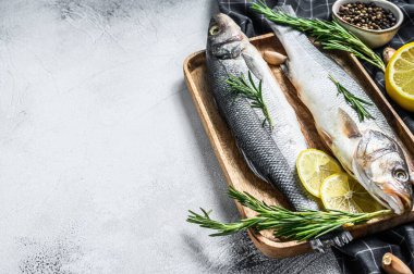 Otlu deniz kabuğu balığı, çiğ levrek. Gri arka plan. Üst Manzara. Boşluğu kopyala.