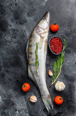 Çiğ zander, otlu Walleye balığı. Siyah arka plan. Üst görünüm.