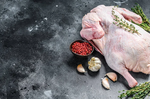 Raw free range goose with spices ready to cook. dark background. Top view. Copy space.