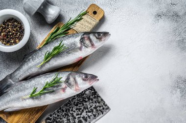 Çiğ taze deniz kabuğu ve pişirmek için malzemeler. Beyaz arka plan. Üst Manzara. Boşluğu kopyala.