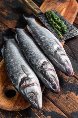 Kesme tahtasındaki taze çiğ deniz kabuğu. Koyu ahşap arka plan. Üst görünüm.