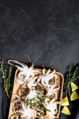 Siyah arka planda çiğ bebek ahtapot. Üst Manzara. Metin için boşluk.