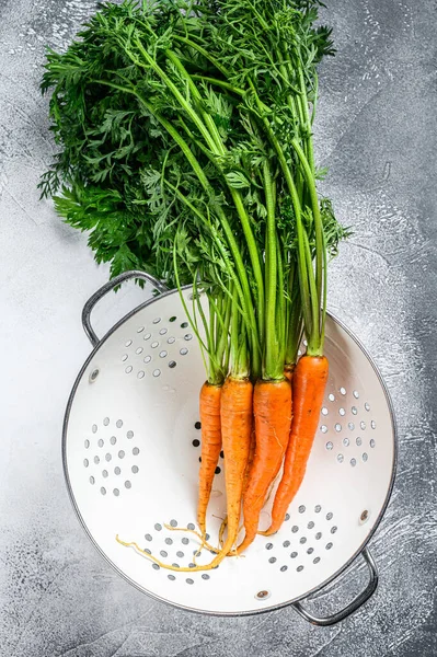 Manojo Zanahorias Frescas Lavadas Con Hojas Verdes Colador Fondo Gris —  Fotos de Stock