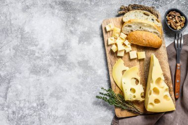 Cevizli ve kekikli Maasdam peyniri. Gri arka plan. Üst Manzara. Boşluğu kopyala.