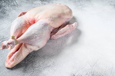 Çiğ ördek, kümes hayvanı eti. Beyaz arka plan. Üst Manzara. Metin için boşluk.