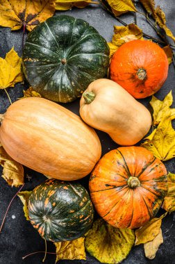 Masada çeşitli kabak çeşitleri var. Siyah arka plan. Üst görünüm.