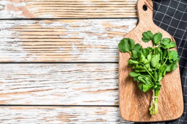 Organik kişniş. Bir demet taze bitki. Beyaz arka plan. Üst Manzara. Boşluğu kopyala.