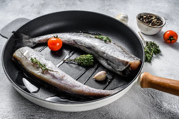 Ganze Fische Seelachs Einer Pfanne Rohe Meeresfrüchte Weißer Hintergrund Ansicht — Stockfoto