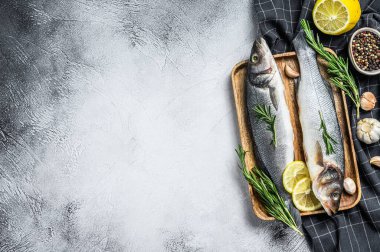 Otlu deniz kabuğu balığı, çiğ levrek. Gri arka plan. Üst Manzara. Boşluğu kopyala.