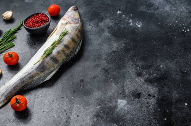 Çiğ zander, otlu Walleye balığı. Siyah arka plan. Üst Manzara. Boşluğu kopyala.
