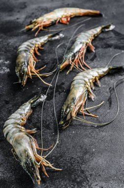 Kara çiğ kaplan karidesi. Siyah arka plan. Üst görünüm.