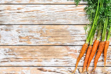 Yeşil yapraklı taze havuç sürüsü. Beyaz arka plan. Üst Manzara. Boşluğu kopyala.