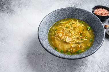 Pırasa, havuç, erişte, taze soğan ve maydanozlu tavuk çorbası. Beyaz arka plan. Üst Manzara. Boşluğu kopyala.