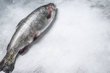 Masadaki çiğ Gökkuşağı alabalığı balığı. Beyaz arka plan. Üst Manzara. Boşluğu kopyala.