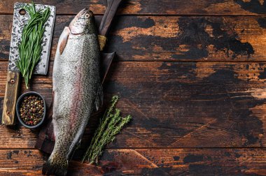 Çiğ taze gökkuşağı alabalığı ve şifalı otlar. Koyu ahşap arka plan. Üst Manzara. Boşluğu kopyala.