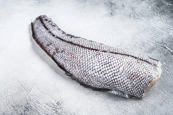 Roher Grenadiermakrurus Fisch Weißer Hintergrund Ansicht Von Oben — Stockfoto