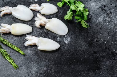 Biberiye ve maydanozlu çiğ küçük mürekkep balığı. Siyah arka plan. Üst Manzara. Boşluğu kopyala.