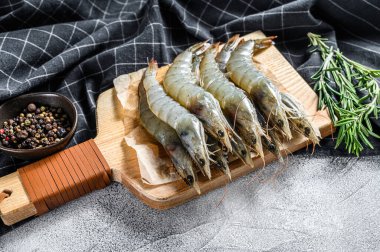 Taze çiğ dev langoustine karidesi. Gri arka plan. Üst görünüm