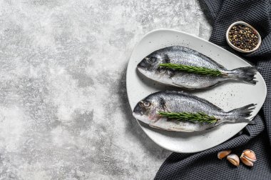 Taze Dorado balığı pişmeye hazır. Gri arka plan. Üst Manzara. Boşluğu kopyala.