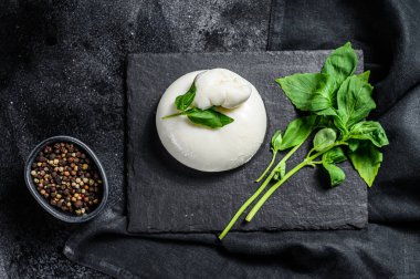 Basil yapraklı İtalyan Burrata peyniri. Siyah arka plan. Üst görünüm.