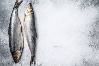 İskandinav ringa balığı turşusu. Gri arka plan. Üst Manzara. Boşluğu kopyala.