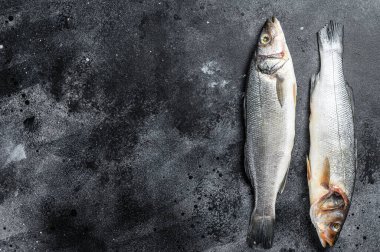 Taze çiğ levrek balığı. Siyah arka plan. Üst Manzara. Boşluğu kopyala.