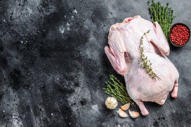 Pişirmeye hazır baharatlı çiğ ördek. Karanlık arka plan. Üst Manzara. Boşluğu kopyala.