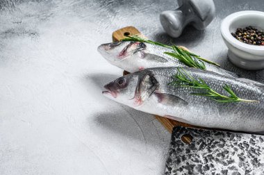 Çiğ taze deniz kabuğu ve pişirmek için malzemeler. Beyaz arka plan. Üst Manzara. Boşluğu kopyala.