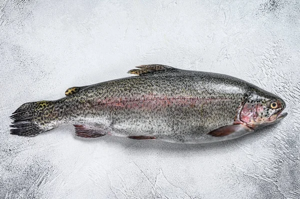 Rohe Regenbogenforellen Auf Einem Tisch Weißer Hintergrund Ansicht Von Oben — Stockfoto