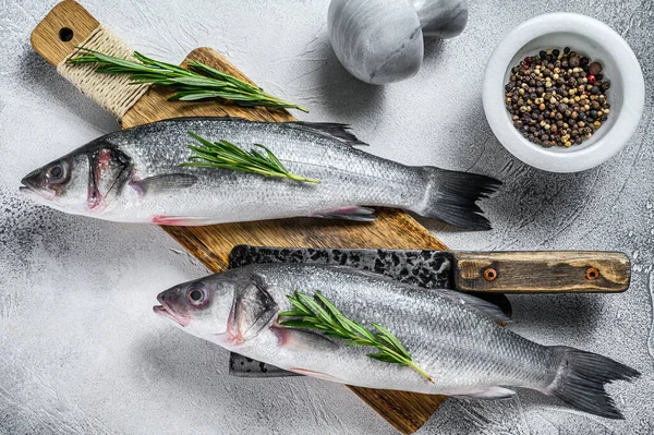 Çiğ Taze Deniz Kabuğu Pişirmek Için Malzemeler Beyaz Arka Plan — Stok fotoğraf