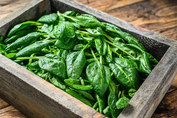 Young baby spinach leaves in a farm wooden box. Natural wooden background. Top view — Stock Photo, Image